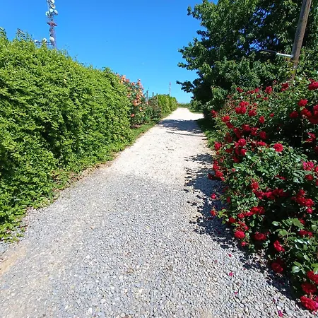 Eden Lak Vendeghaz Tatil Evi *